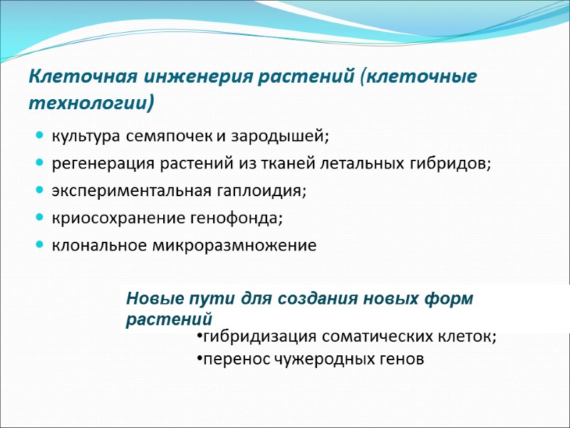 Клеточная инженерия растений (клеточные технологии) культура семяпочек и зародышей;  регенерация растений из тканей